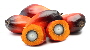 Lorem ipsum Lorem ipsum